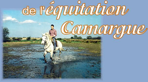 à la découverte de l'équitation camargue