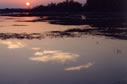 coucher de soleil sur les marais en Camargue